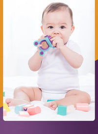 Snnowflake FreshBite Feeder